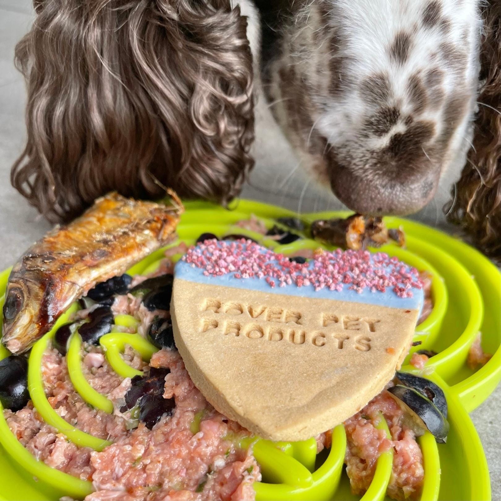 Bullfrog Slowfeeder eTray-Slow Feeder-Rover Pet Products