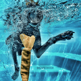 Bungee Bone-Rover Pet Products