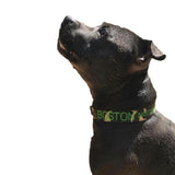 Camouflage-Dog Collar-Rover Pet Products