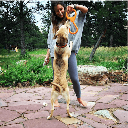 Can Opener Tug Toy-Dog Toy-Rover Pet Products