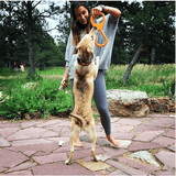 Can Opener Tug Toy-Dog Toy-Rover Pet Products