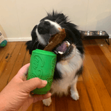 Can Toy-Dog Toy-Rover Pet Products