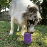 Can Toy-Dog Toy-Rover Pet Products