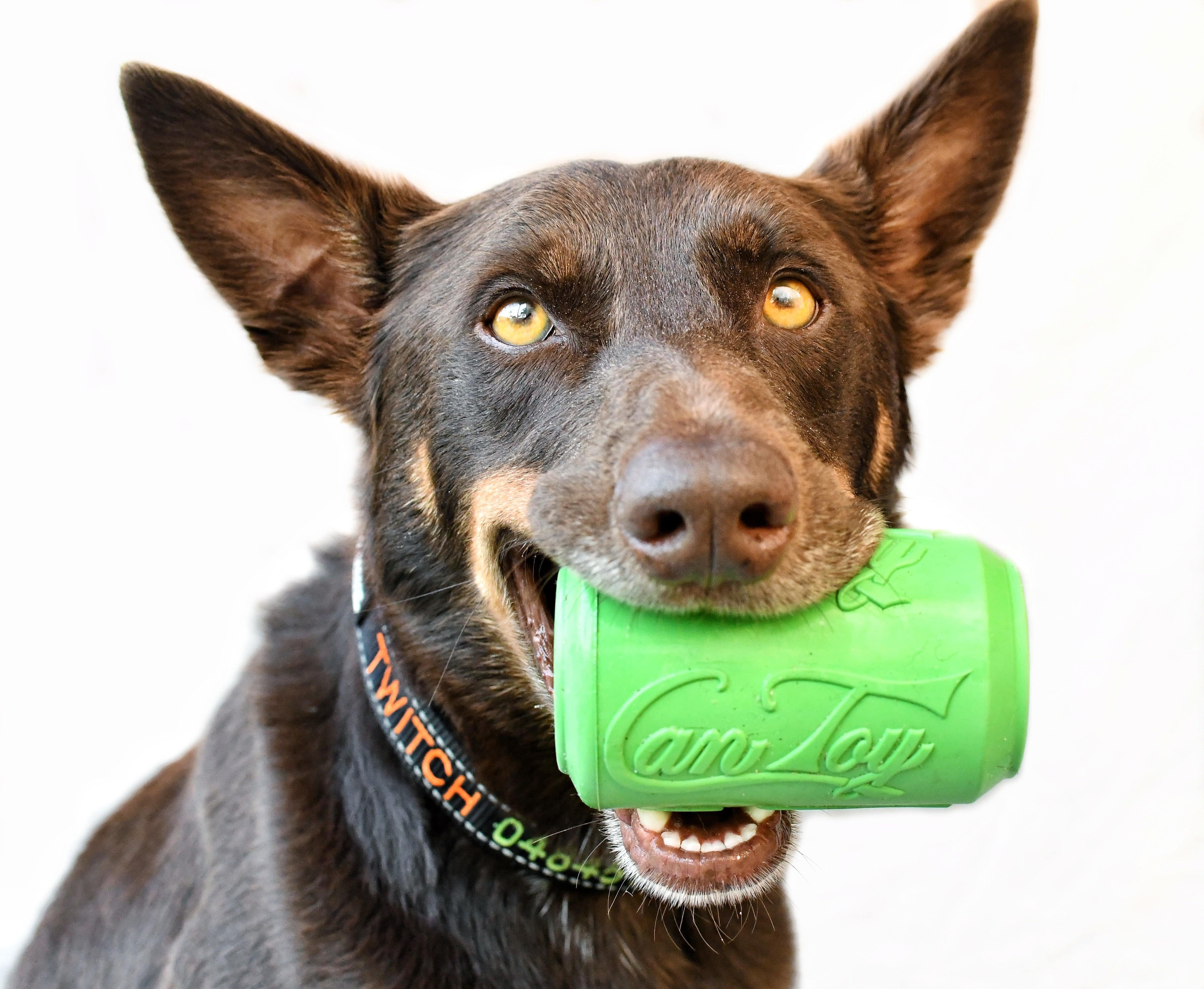 Can Toy-Dog Toy-Rover Pet Products