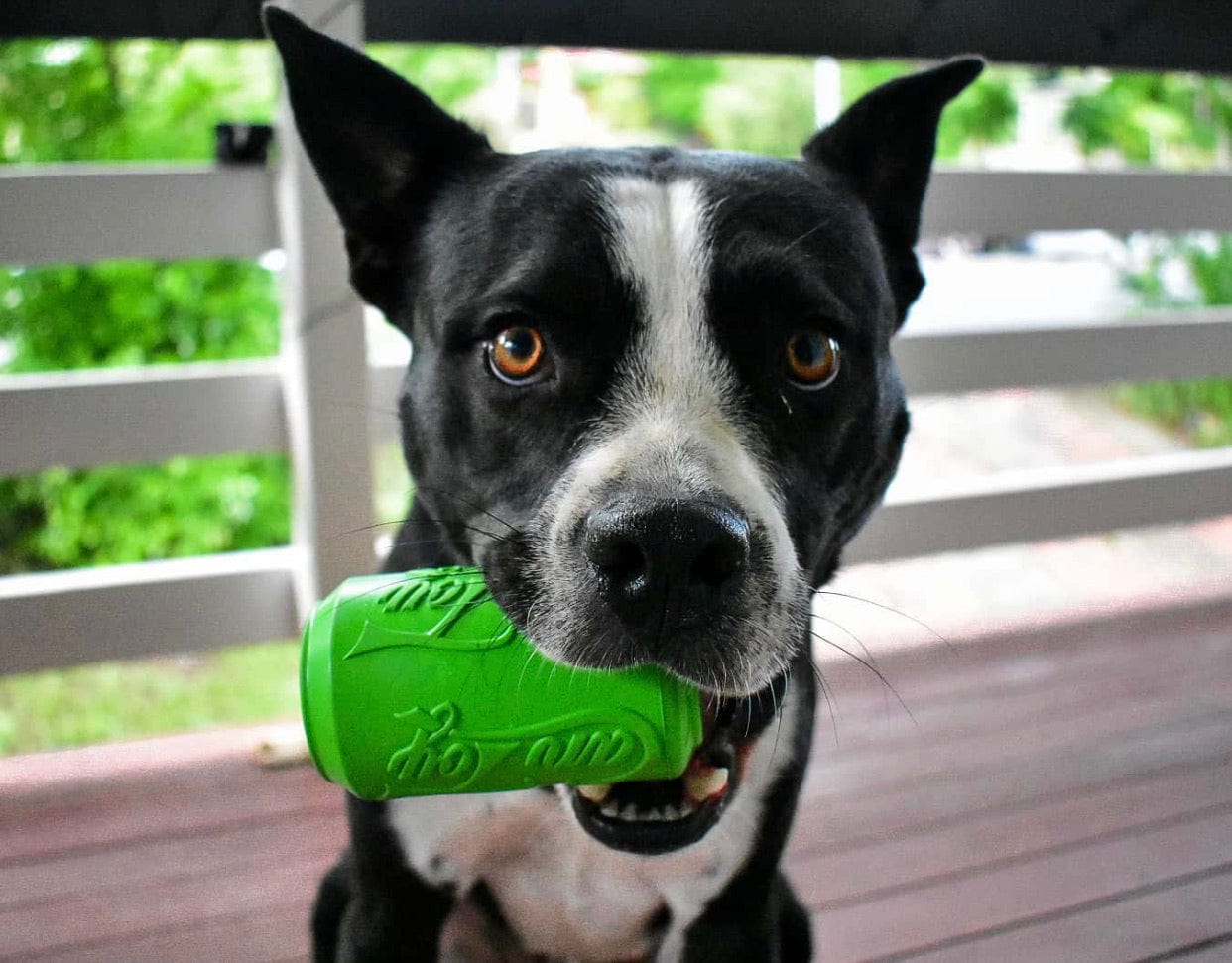 Can Toy-Dog Toy-Rover Pet Products