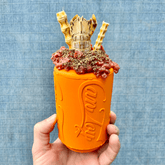 Can Toy-Dog Toy-Rover Pet Products