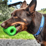 Can Toy-Dog Toy-Rover Pet Products