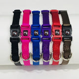 Cat Collars-Unclassified-Rover Pet Products