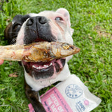 Catch Of The Day - Small Oily Fish-Dog Treat-Rover Pet Products