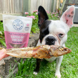 Catch Of The Day - Small Oily Fish-Dog Treat-Rover Pet Products