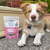 Catch Of The Day - Small Oily Fish-Dog Treat-Rover Pet Products