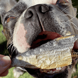 Catch Of The Day - Small Oily Fish-Dog Treat-Rover Pet Products