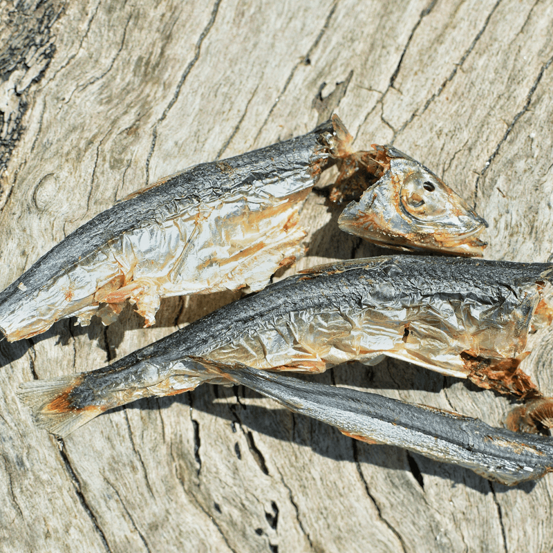 Catch Of The Day - Small Oily Fish-Dog Treat-Rover Pet Products