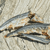 Catch Of The Day - Small Oily Fish-Dog Treat-Rover Pet Products