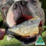 Catch Of The Day - Small Oily Fish-Dog Treat-Rover Pet Products