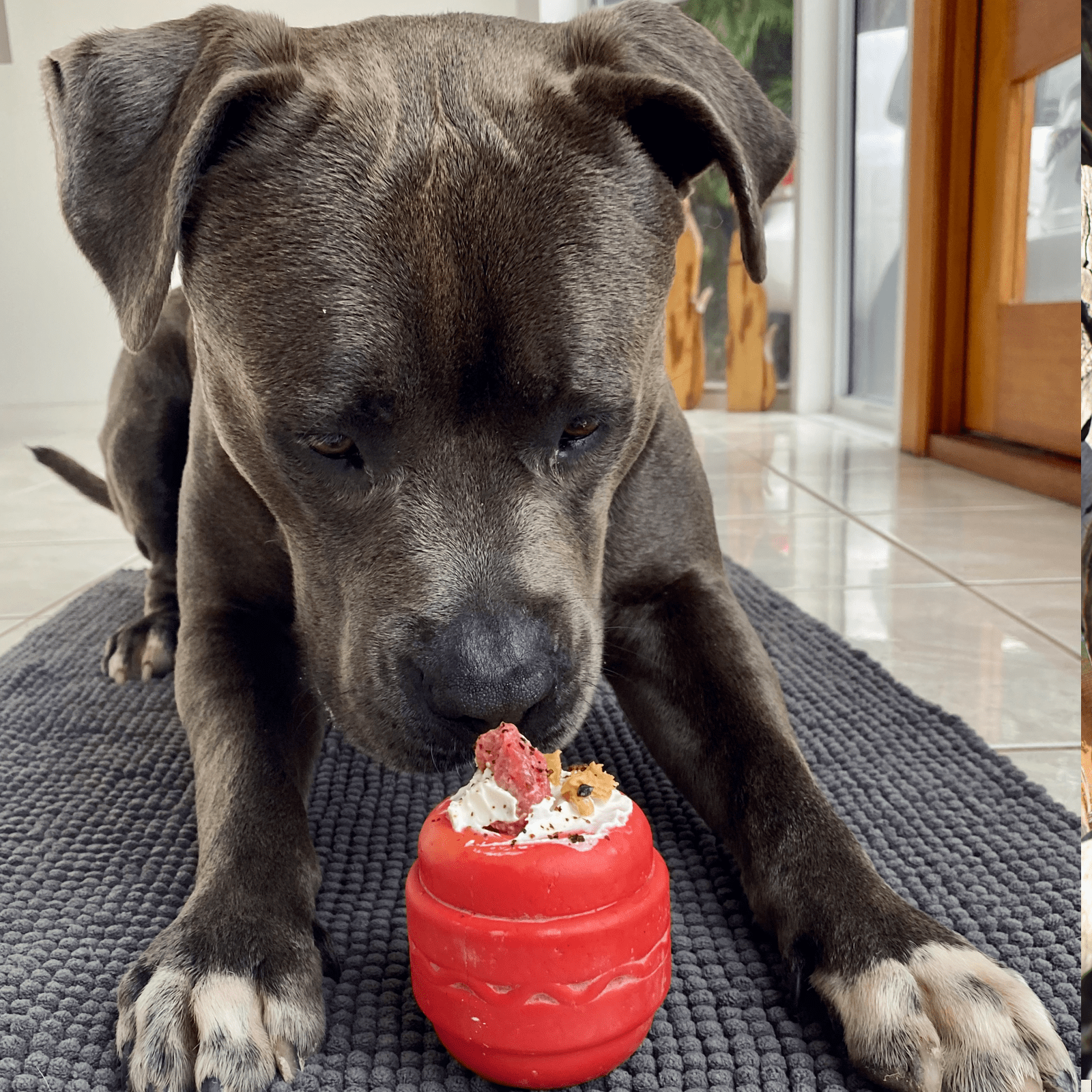 Cheeseburger - BROWN-Dog Toy-Rover Pet Products