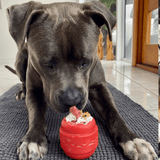 Cheeseburger - BROWN-Dog Toy-Rover Pet Products