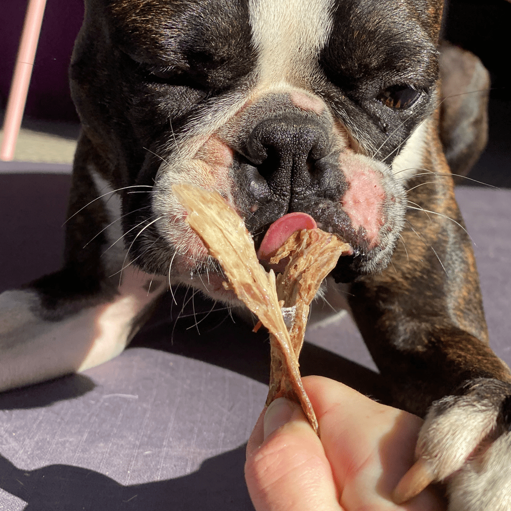 CHEW ON THIS! - Beef Jerky-Dog Treat-Rover Pet Products