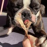 CHEW ON THIS! - Beef Jerky-Dog Treat-Rover Pet Products