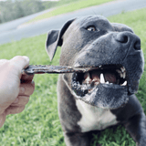 CHEW ON THIS! - Beef Jerky-Dog Treat-Rover Pet Products