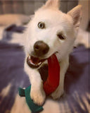 Chilli Peppers!-Unclassified-Rover Pet Products