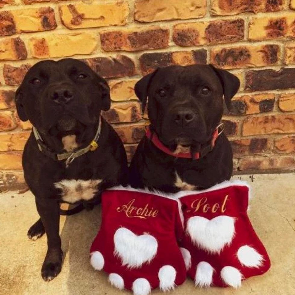 Christmas Stocking-Rover Pet Products