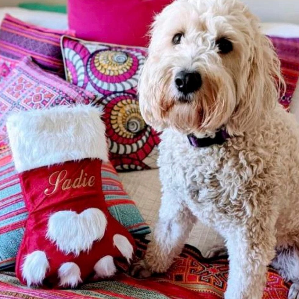 Christmas Stocking-Rover Pet Products