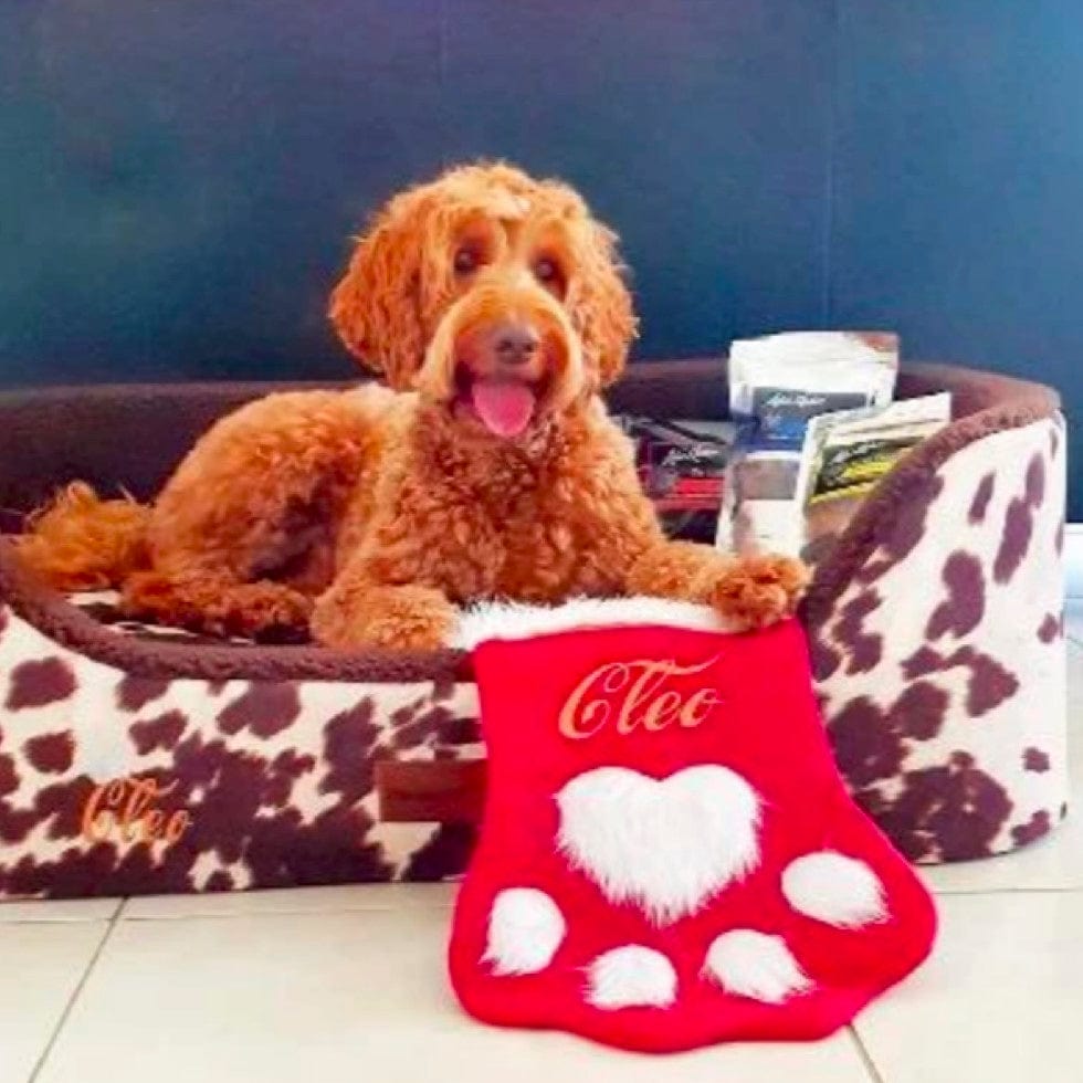 Christmas Stocking-Rover Pet Products