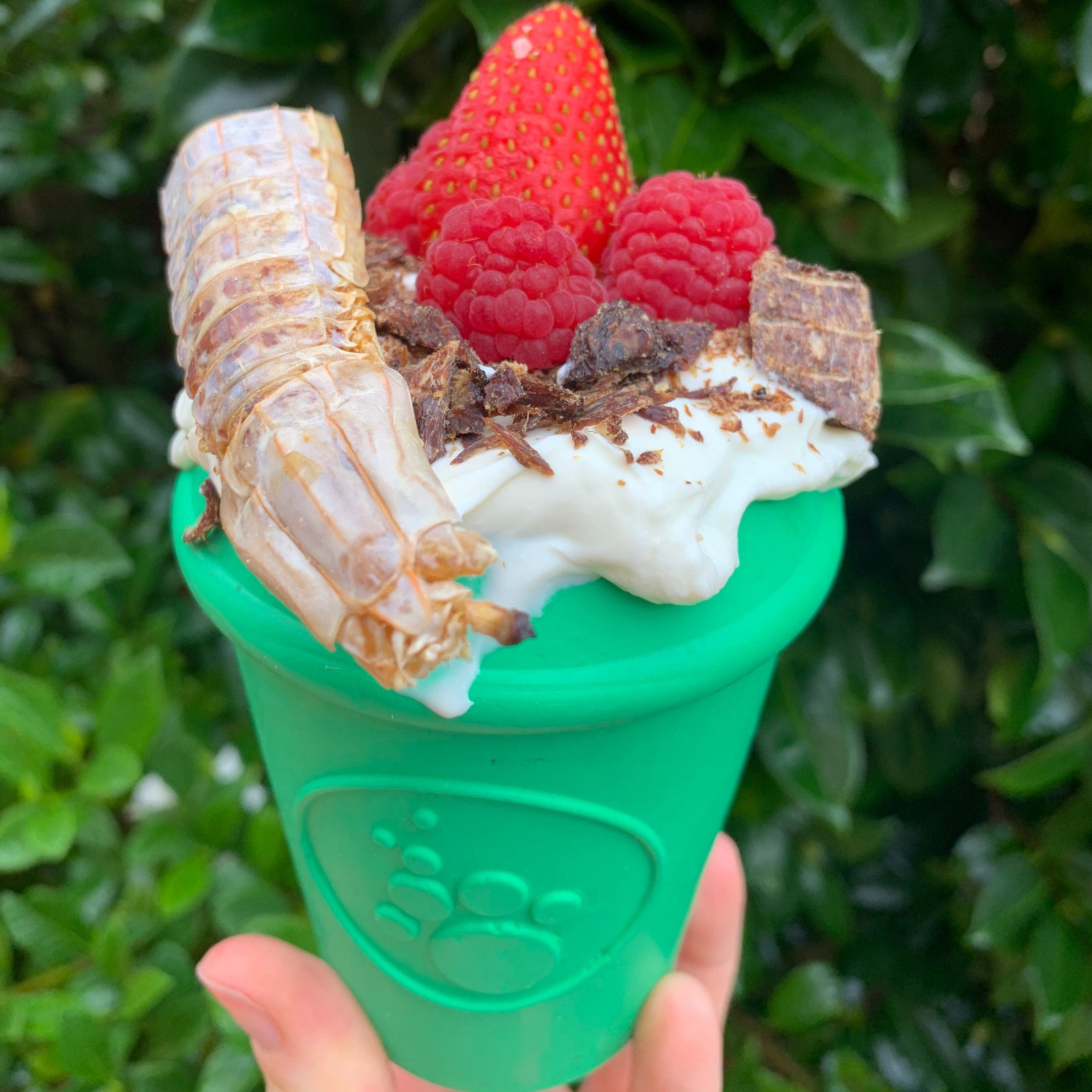 Coffee Cup-Dog Toy-Rover Pet Products