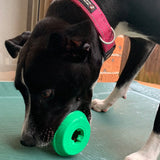 Coffee Cup-Dog Toy-Rover Pet Products