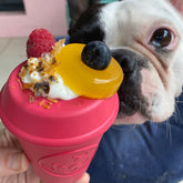 Coffee Cup-Dog Toy-Rover Pet Products