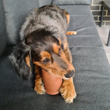 Coffee Cup-Dog Toy-Rover Pet Products