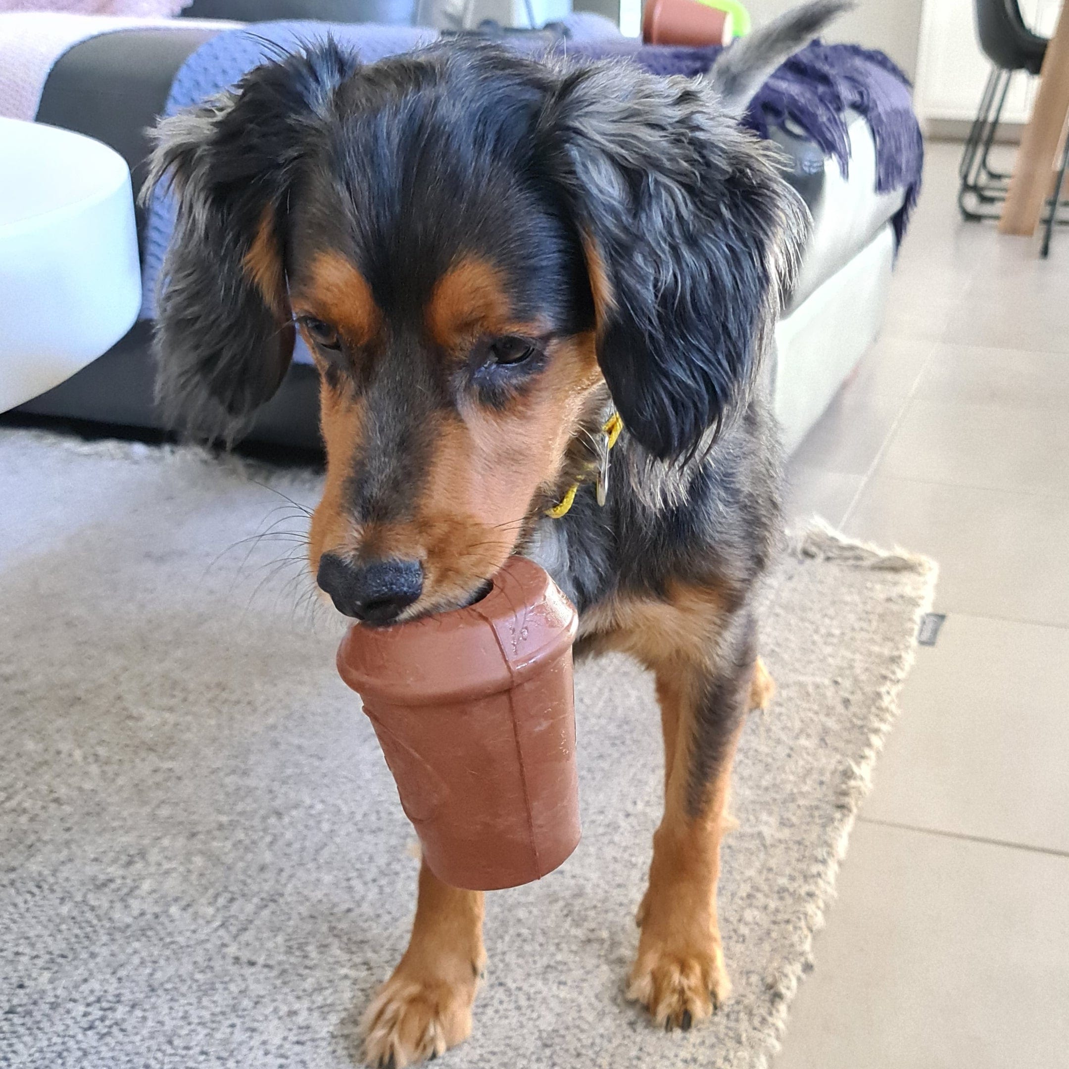 Coffee Cup-Dog Toy-Rover Pet Products