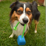 Computer Mouse - Blue & Green - Limited Edition-Dog Toy-Rover Pet Products