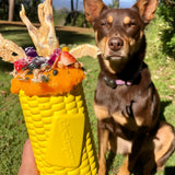 Corn On The Cob-Dog Toy-Rover Pet Products