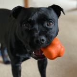 Crazy Bounce (Power Chewers)-Dog Toy-Rover Pet Products