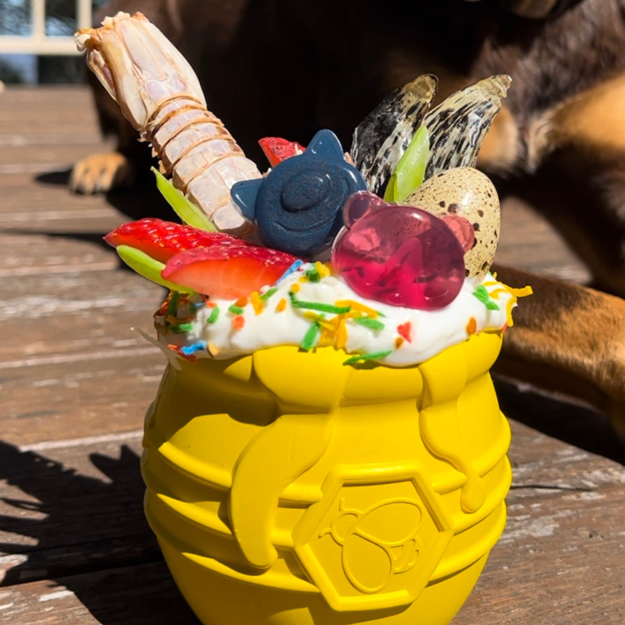 Croc Crisps - Crocodile Chips-Dog Treat-Rover Pet Products