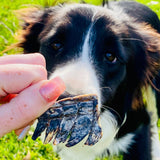 Croc Crisps - Crocodile Chips-Dog Treat-Rover Pet Products