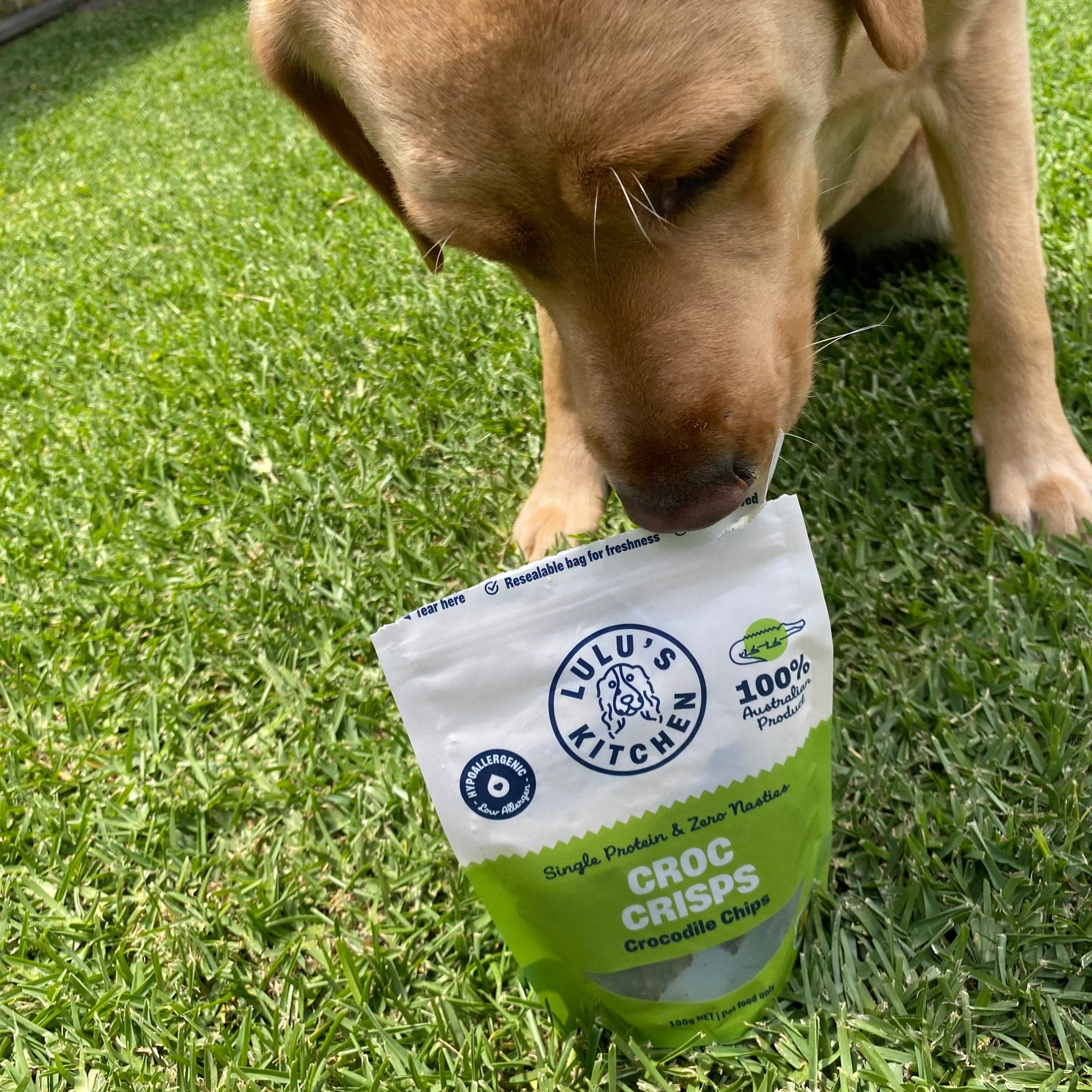 Croc Crisps - Crocodile Chips-Dog Treat-Rover Pet Products