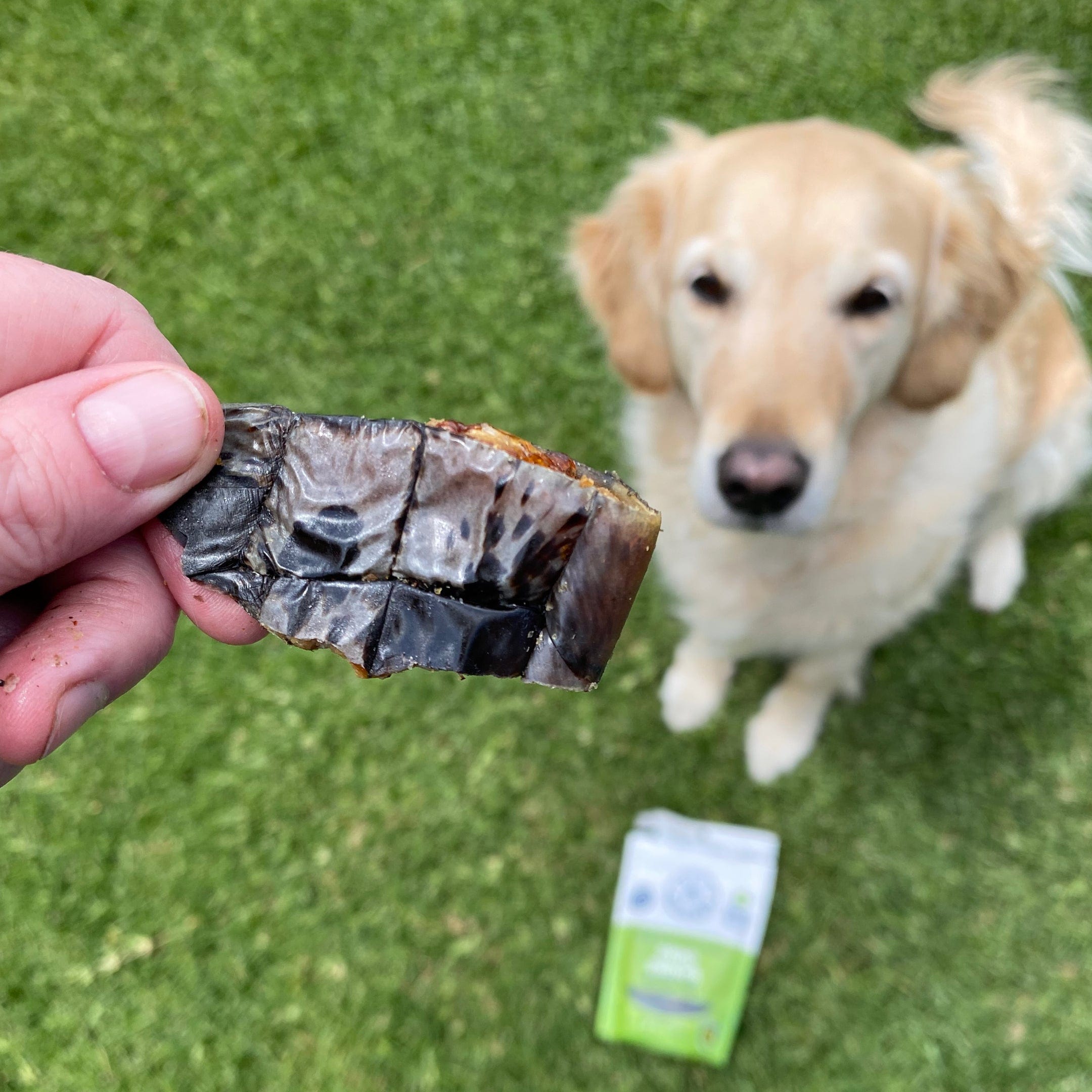 Croc Crisps - Crocodile Chips-Dog Treat-Rover Pet Products