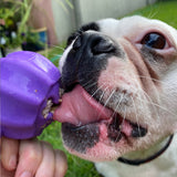 Cross Bone Treat Pocket Dog Toy-Dog Toy-Rover Pet Products