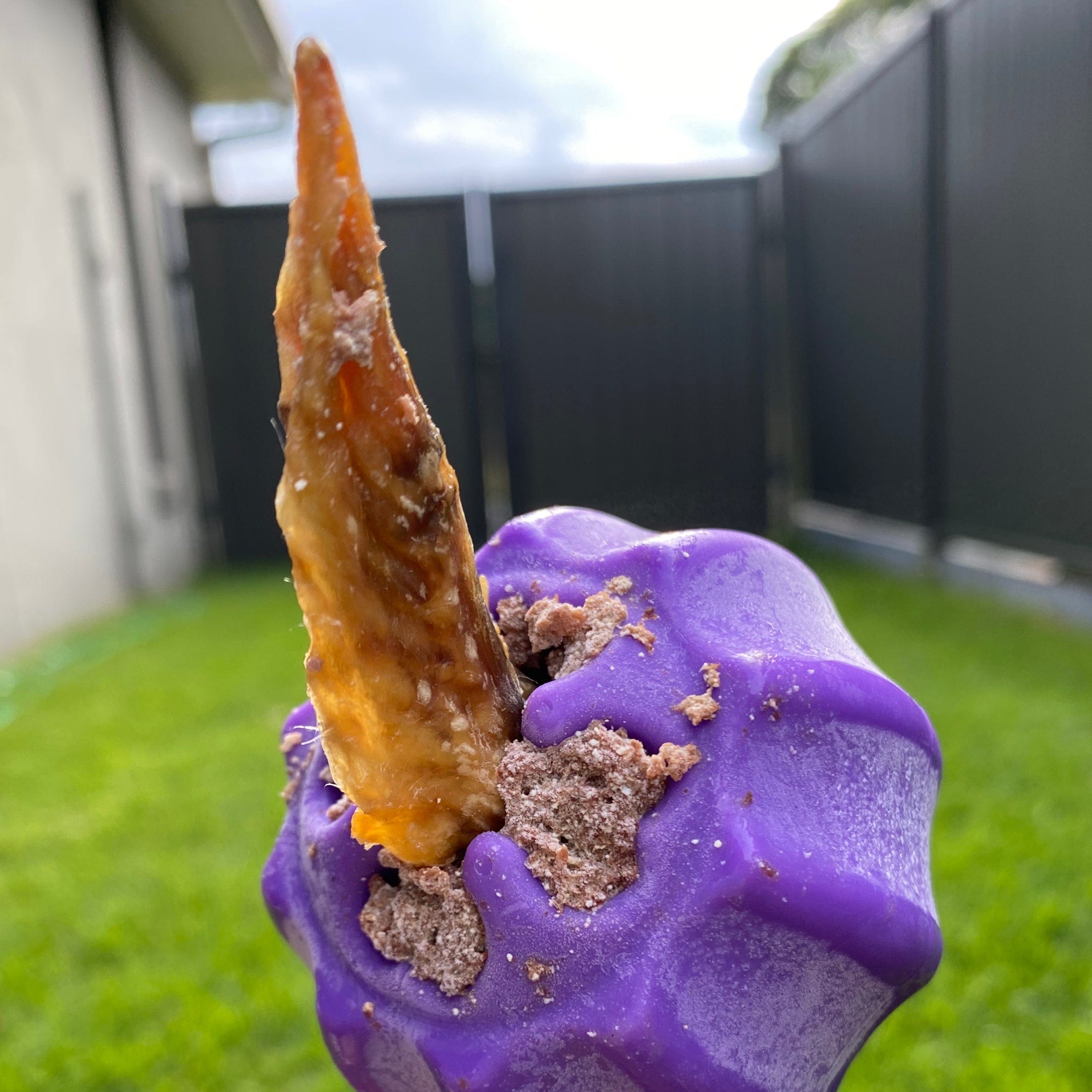 Cross Bone Treat Pocket Dog Toy-Dog Toy-Rover Pet Products