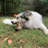 Deep Throat - Cow Trachea-Dog Treat-Rover Pet Products