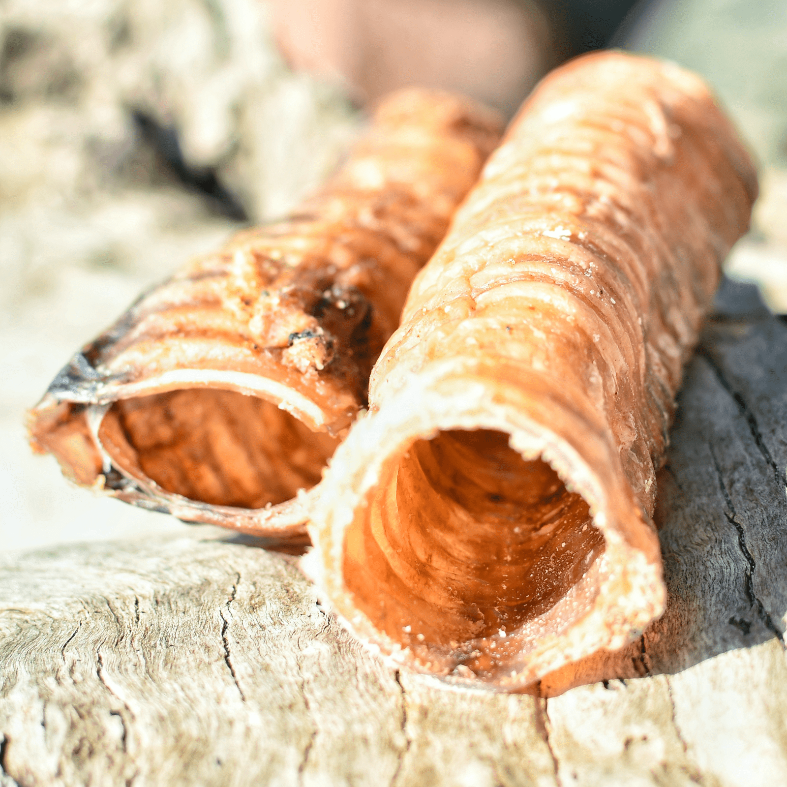 Deep Throat - Cow Trachea-Dog Treat-Rover Pet Products