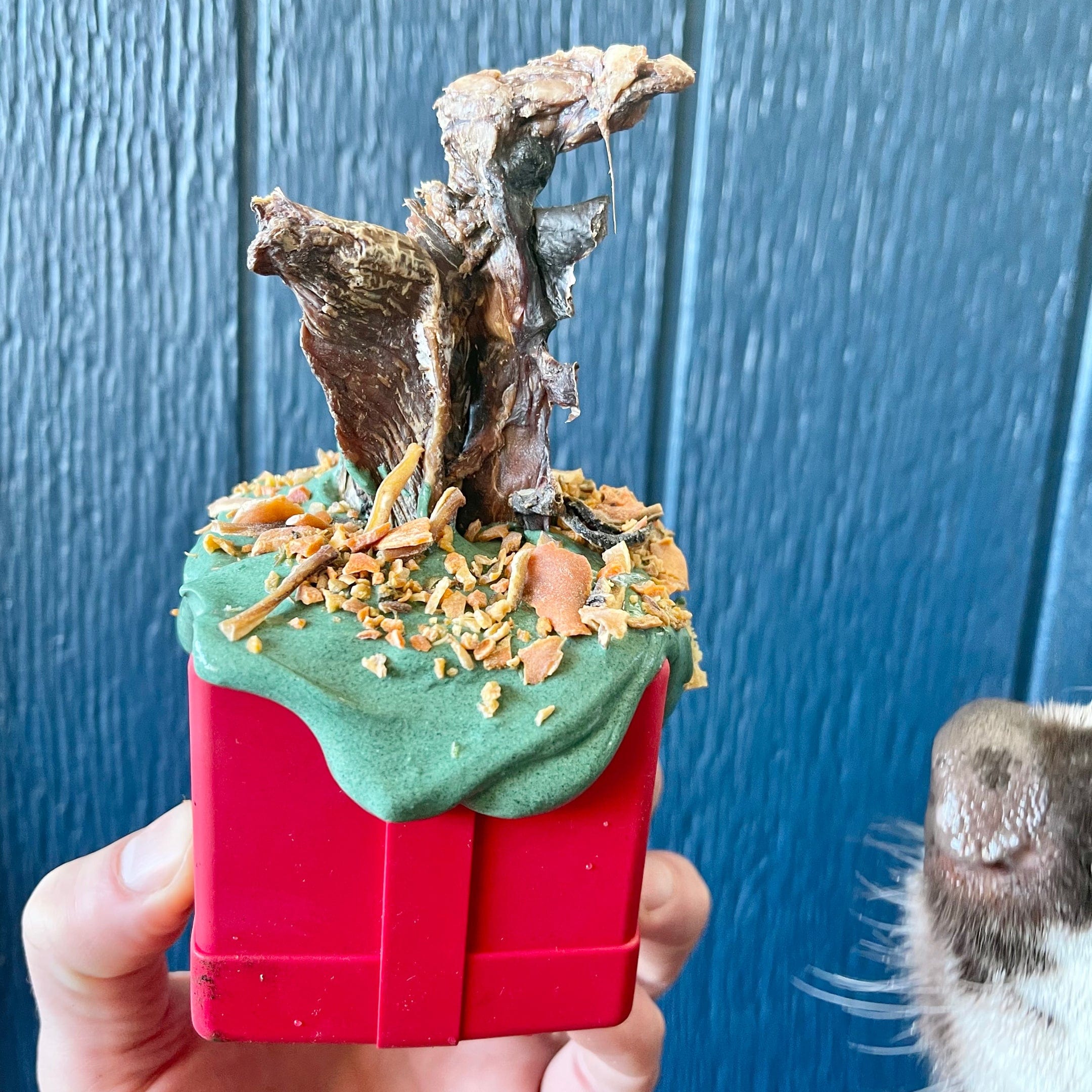 Dice-Dog Toy-Rover Pet Products