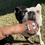 DICKS-Unclassified-Rover Pet Products