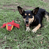 Diggity Dog-Unclassified-Rover Pet Products