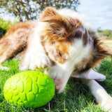 Dinosaur Egg-Dog Toy-Rover Pet Products