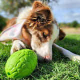 Dinosaur Egg-Dog Toy-Rover Pet Products