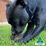 Don't Be Boaring - Boar Ears-Unclassified-Rover Pet Products